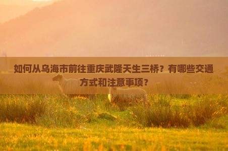 乌海市到重庆武隆天生三桥攻略