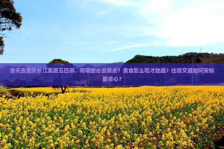 冬天去重庆长江索道五日游