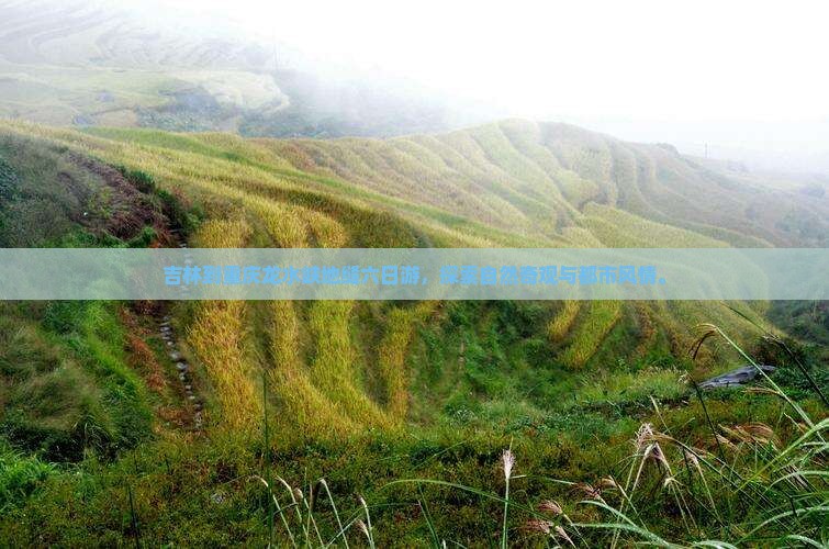 吉林到重庆龙水峡地缝六日游