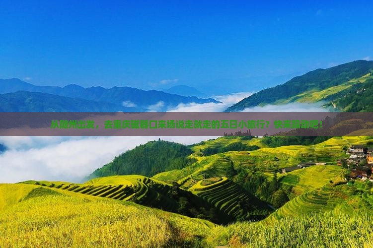 随州到重庆磁器口五日游