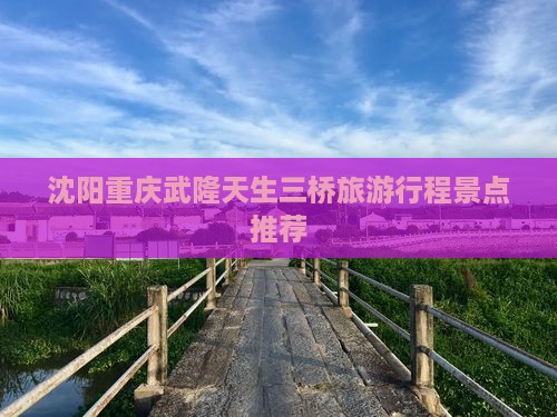 沈阳去重庆武隆天生三桥大型旅游团