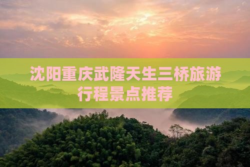 沈阳去重庆武隆天生三桥大型旅游团