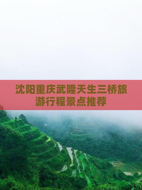沈阳去重庆武隆天生三桥大型旅游团