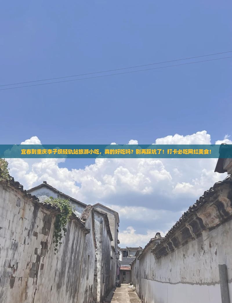 宜春到重庆李子坝轻轨站旅游小吃