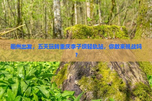 衢州到重庆李子坝轻轨站五日游