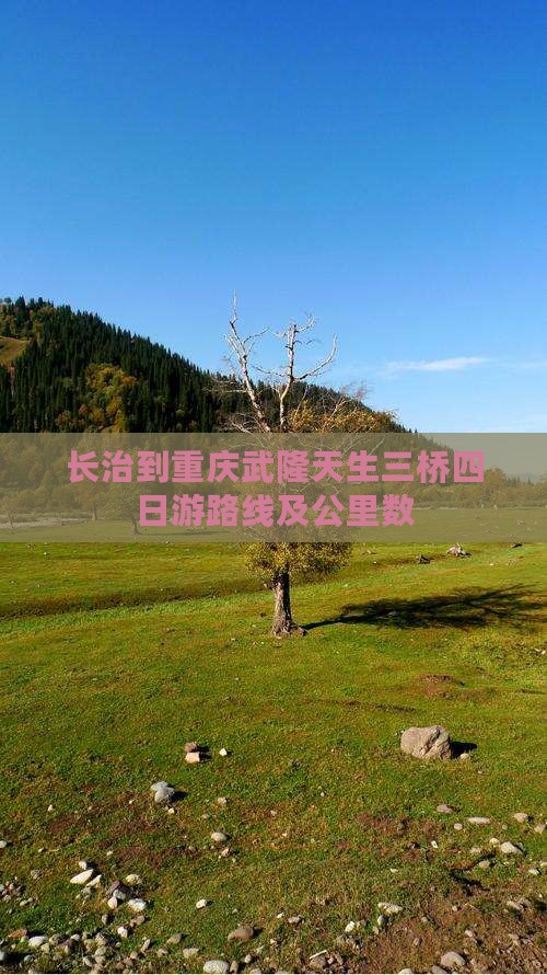 长治到重庆武隆天生三桥四日游