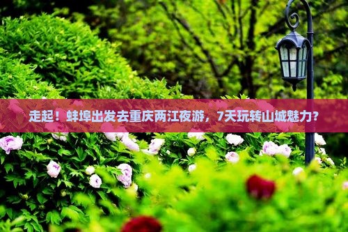 蚌埠去重庆两江夜游七日游
