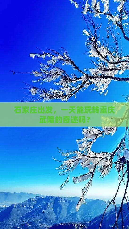 石家庄去重庆武隆一日