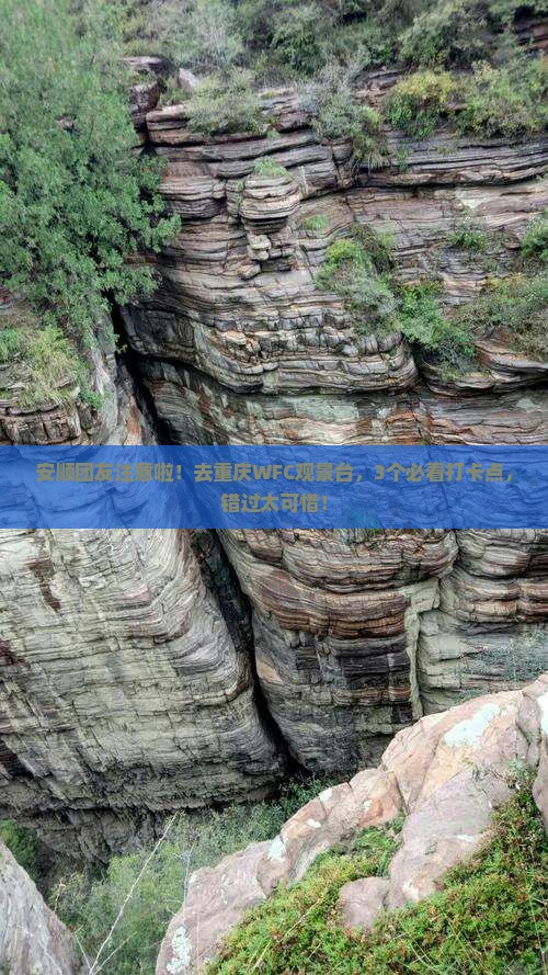 安顺到重庆wfc观景台团体旅游