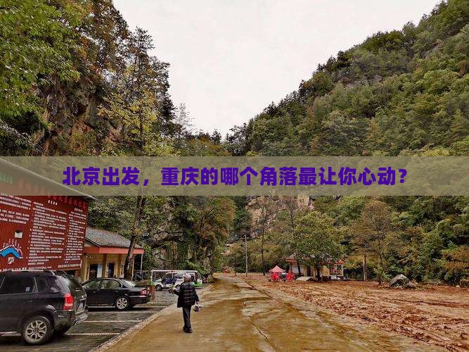 北京去重庆哪里玩