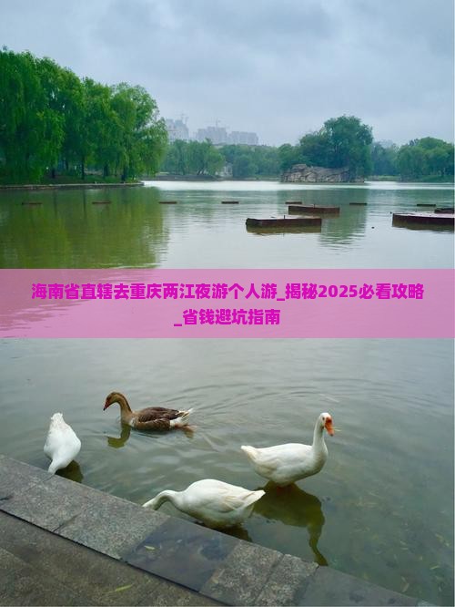 海南省直辖去重庆两江夜游个人游