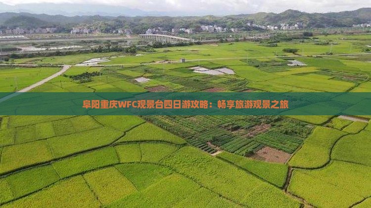 阜阳去重庆wfc观景台四日游