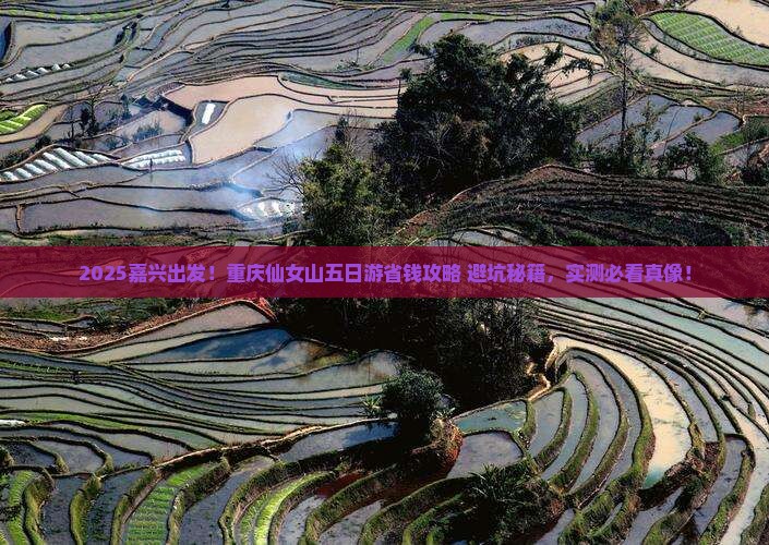 嘉兴到重庆仙女山五日游