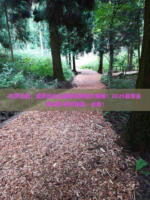 拉萨去重庆仙女山团体旅游