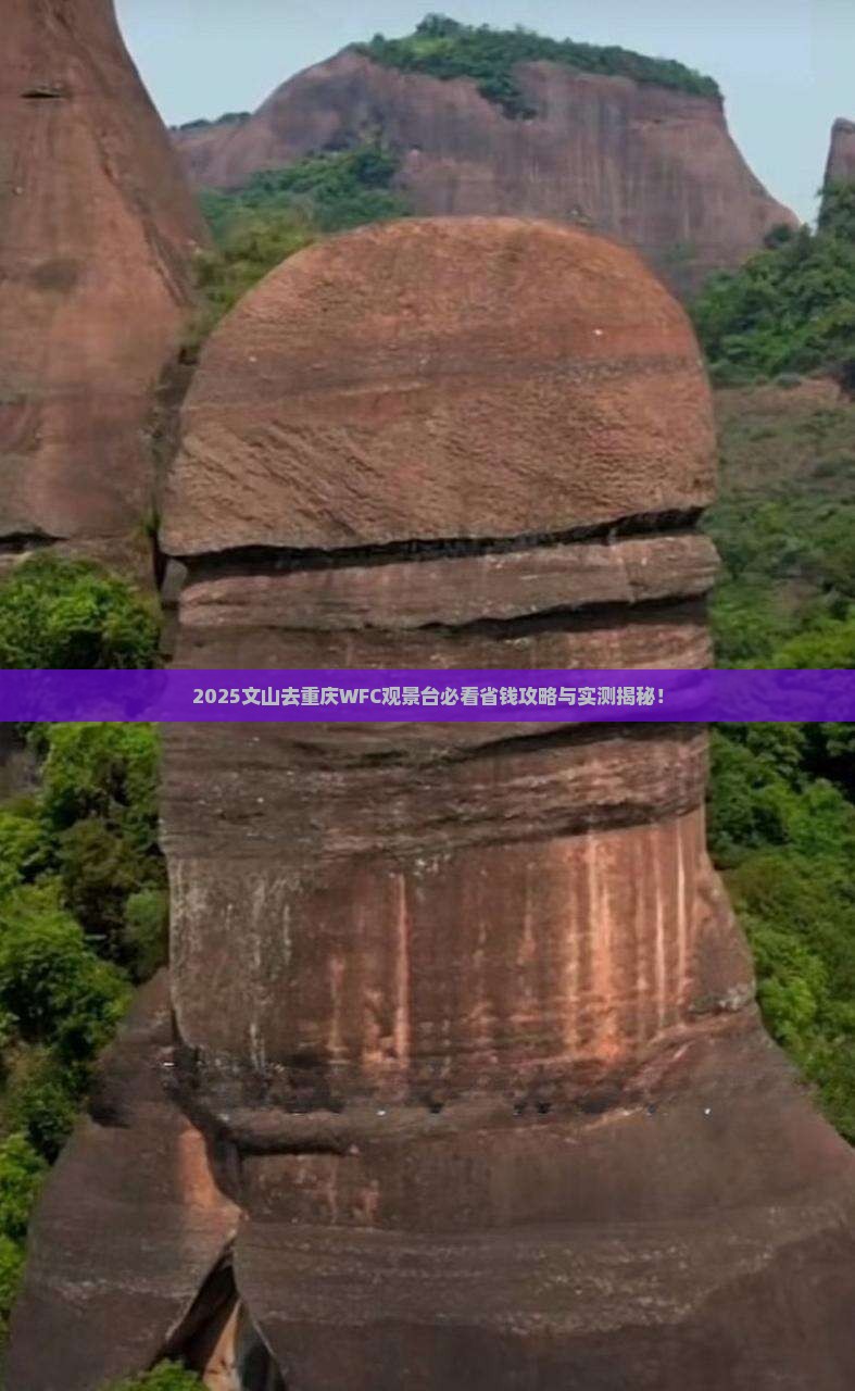 文山去重庆wfc观景台旅游