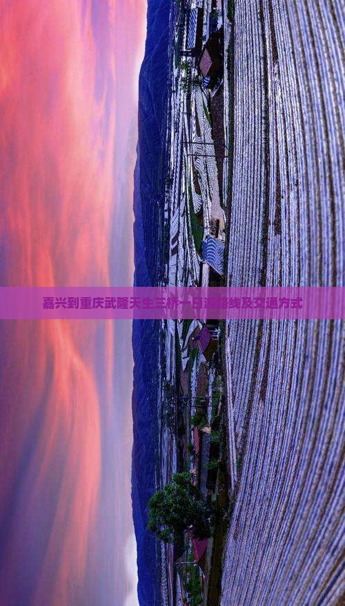 嘉兴到重庆武隆天生三桥一日