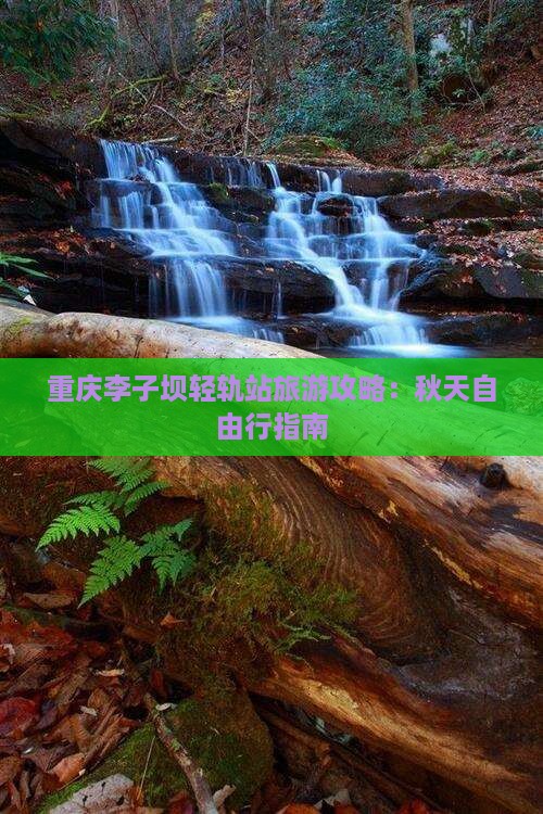 秋天去重庆李子坝轻轨站自由行