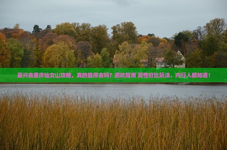 嘉兴去重庆仙女山攻略