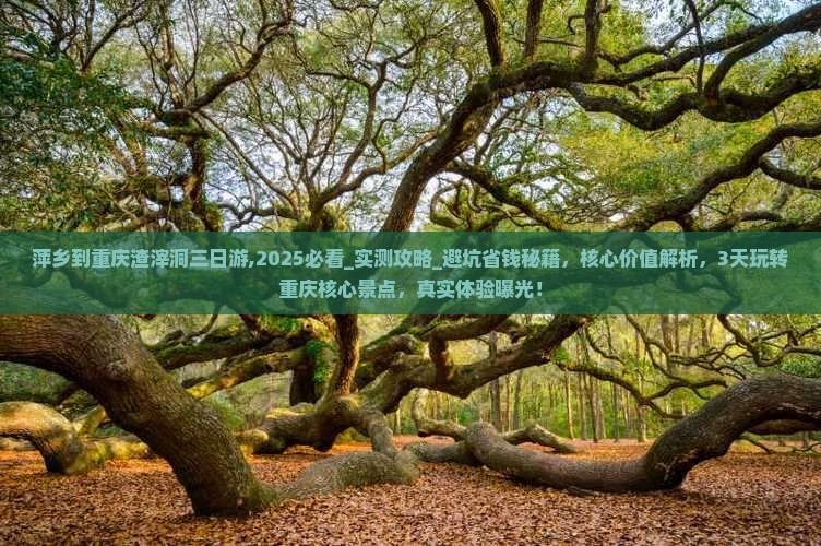 萍乡到重庆渣滓洞三日游
