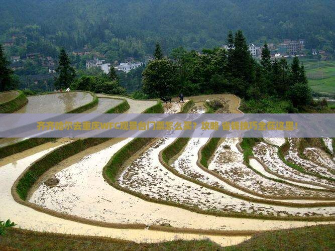 齐齐哈尔去重庆wfc观景台门票