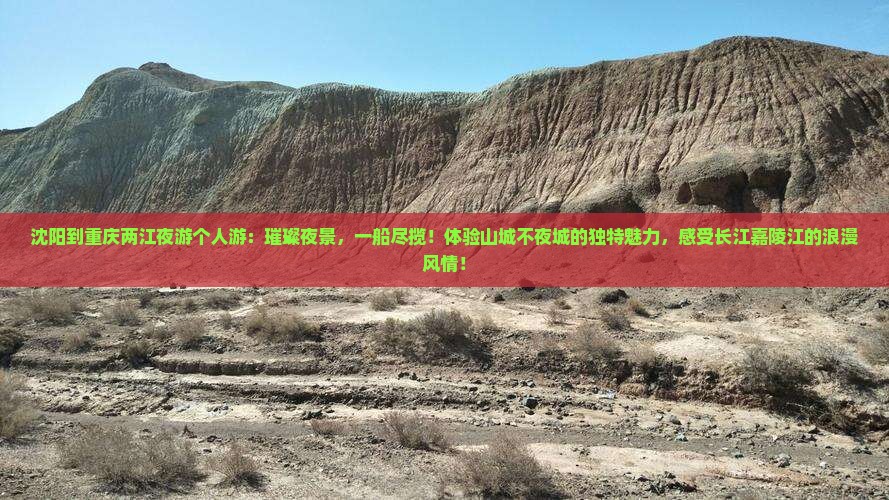 沈阳到重庆两江夜游个人游