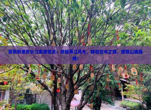 昆明到重庆长江索道景点