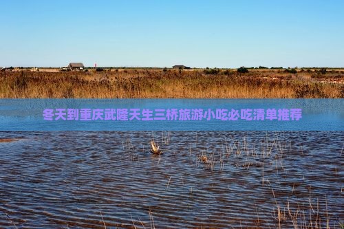 冬天到重庆武隆天生三桥旅游小吃