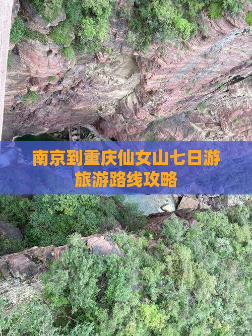 南京到重庆仙女山七日游 南京到重庆仙女山七日游