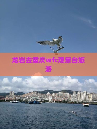龙岩去重庆wfc观景台旅游