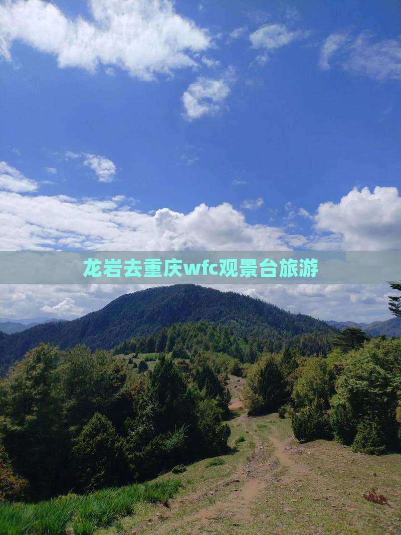 龙岩去重庆wfc观景台旅游