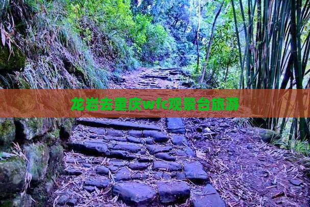 龙岩去重庆wfc观景台旅游