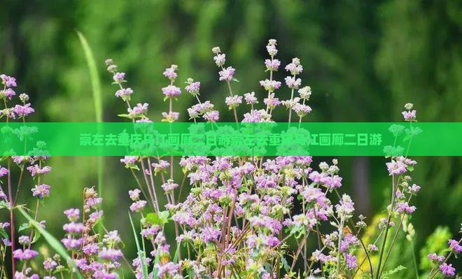 崇左去重庆乌江画廊二日游