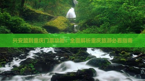 兴安盟到重庆门票