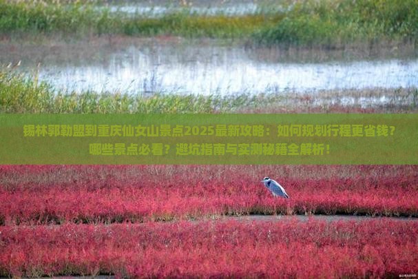 锡林郭勒盟到重庆仙女山景点 锡林郭勒盟到重庆仙女山景点