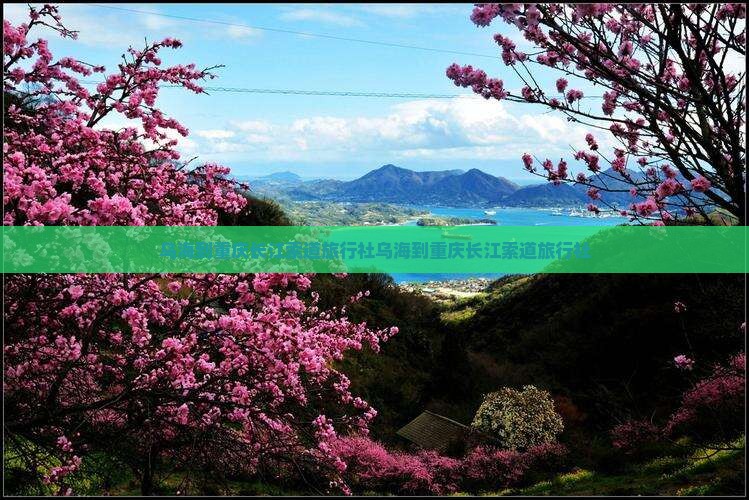 乌海到重庆长江索道旅行社