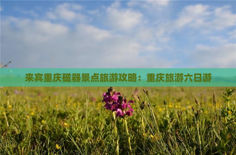 来宾去重庆磁器口六日游