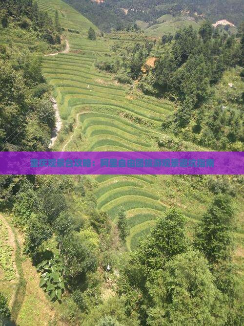 阿里到重庆wfc观景台自由团