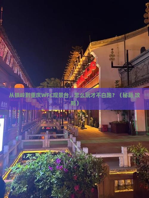 铁岭去重庆wfc观景台哪里玩