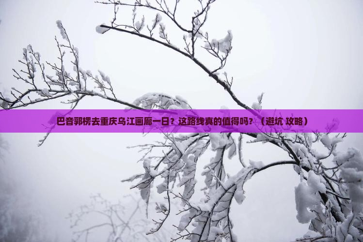 巴音郭楞去重庆乌江画廊一日