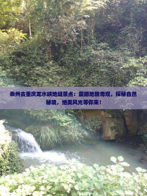 泰州去重庆龙水峡地缝景点