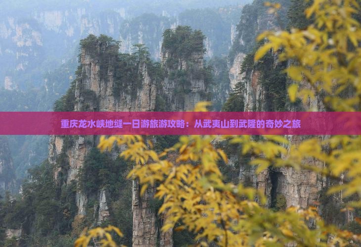 武夷山去重庆龙水峡地缝旅行社
