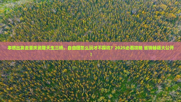 孝感去重庆武隆天生三桥自由团