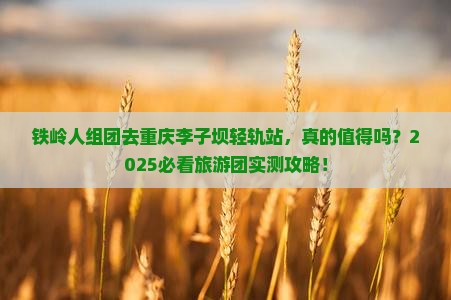 铁岭去重庆李子坝轻轨站大型旅游团