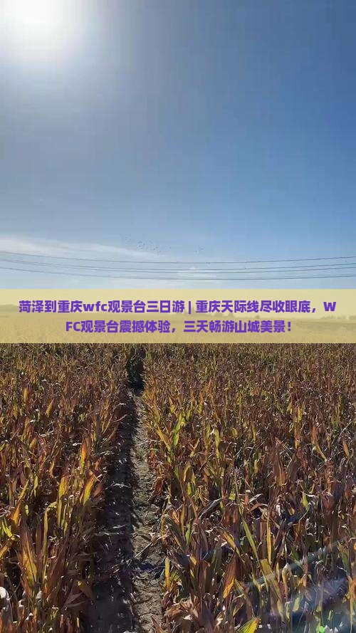 菏泽到重庆wfc观景台三日游