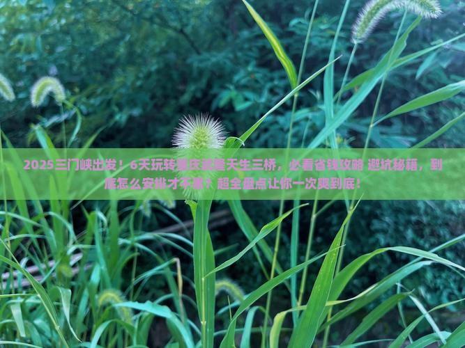 三门峡到重庆武隆天生三桥六日游