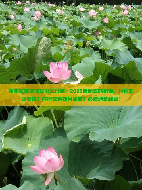 朔州去重庆仙女山五日游