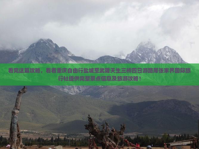 看完这篇攻略，看看重庆自由行盐城至武隆天生三桥四日游路犀张家界国际旅行社提供完整景点信息及旅游攻略！