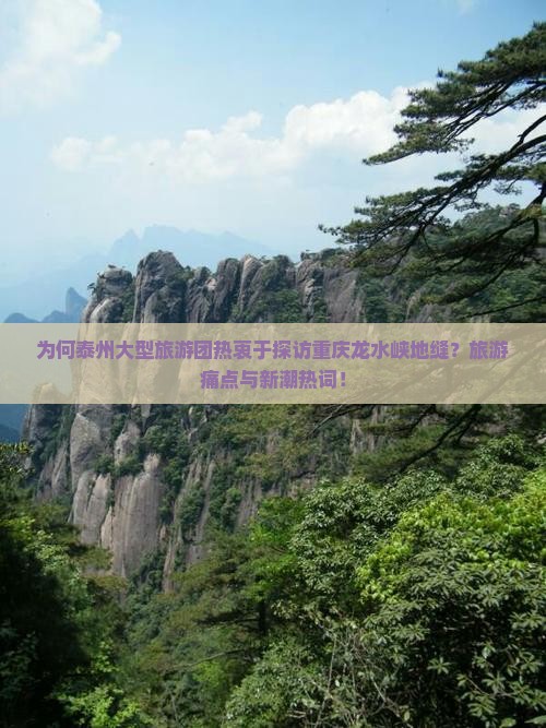 为何泰州大型旅游团热衷于探访重庆龙水峡地缝？旅游痛点与新潮热词！