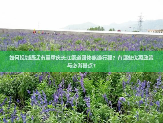 如何规划通辽市至重庆长江索道团体旅游行程？有哪些优惠政策与必游景点？