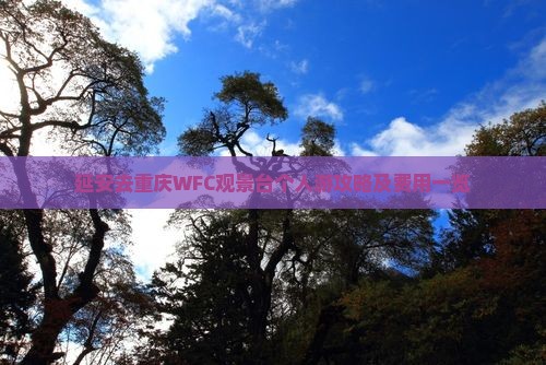 延安去重庆WFC观景台个人游攻略及费用一览